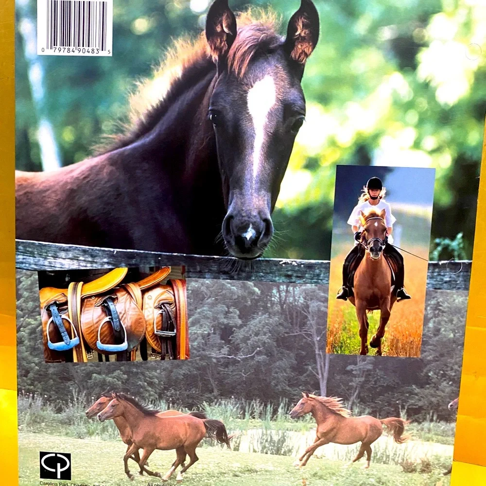 HORSES VINTAGE 90’s PORTFOLIO 3 RING BINDER FOLDERS BUNDLE OF 3 GREAT FOR SCHOOL